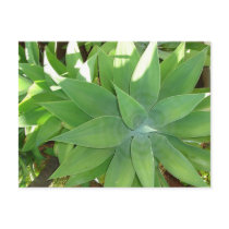 Greenery postcards