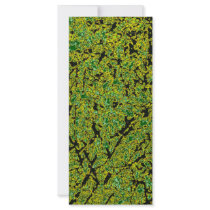 Greenery rack cards by TravellingSue Greenery rack cards