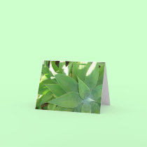 Greenery v2 cards