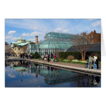 Greenhouse and Pool cards