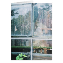 Greenhouse cards
