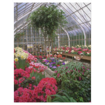 Greenhouse Effect Personalized Flyer