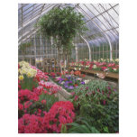 Greenhouse Effect Personalized Flyer