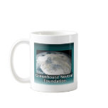 Greenhouse Neutral Foundation Coffee Mugs