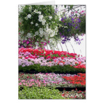 Greenhouse Notes cards