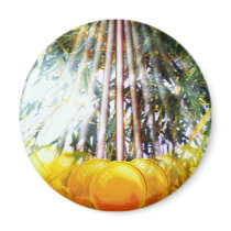 GREENHOUSE PENDULUM magnets by Tammera59 GREENHOUSE PENDULUM magnets