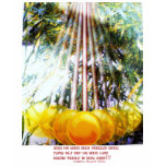 GREENHOUSE PENDULUM t-shirts