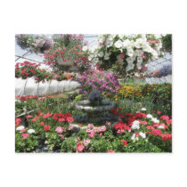 Greenhouse Postcard