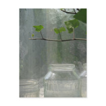 Greenhouse Postcard