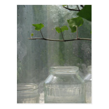 Greenhouse Postcard
