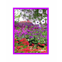 Greenhouse Profusion T t-shirts