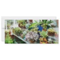 Greenhouse With Cactus