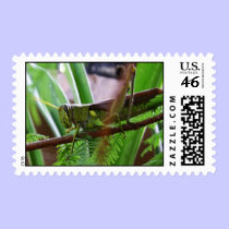 Greenie Grasshopper stamps