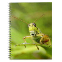 "Greenie" Notebook notebooks