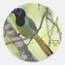GreenjayBy Kay Miller2007 Sticker