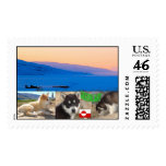 Greenland dog postage