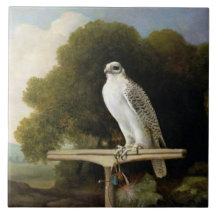 Greenland Falcon (Grey Falcon), 1780 (oil on panel Ceramic Tile