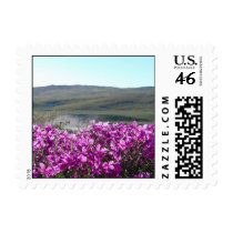 Greenland Flower named  Niviarsiaq postage