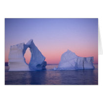 Greenland, Iceberg at sunset. Greeting Cards