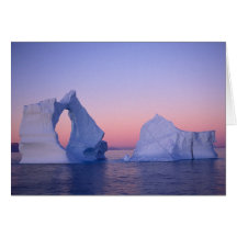 Greenland, Iceberg at sunset. Greeting Cards