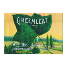 Greenleaf Lemon LabelWhittier, CA Stretched Canvas Print