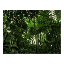 greenLush POSTER posters by webgrrl greenLush POSTER posters