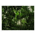 greenLush POSTER posters by webgrrl greenLush POSTER posters