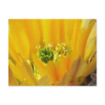 GREENRODS postcards