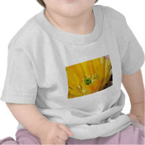 GREENRODS t-shirts