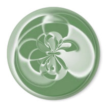greens magnets by shalla greens magnets