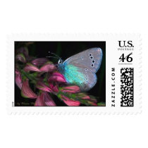 Greenunderside Butterfly postage