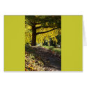 Greenwood Cemetery, Brooklyn, NY cards