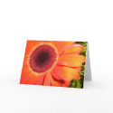 Greeting Card by bibigirl Greeting Card
