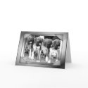 Greeting Card by ritmoboxers Greeting Card