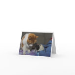 greeting card
