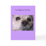 Greeting Card