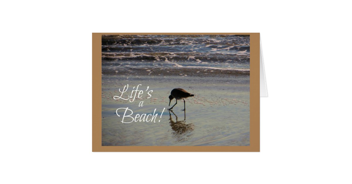 Greeting Card Zazzle