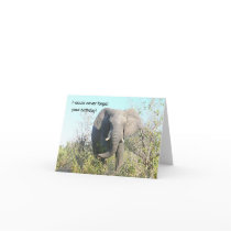 Greeting Card, Birthday, Photography, Elephant by whatawonderfulworld Greeting Card, Birthday, Photography, Elephant