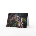 Greeting Card_by Elenne Boothe