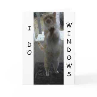 GREETING CARD: Cat Standing Against Window card