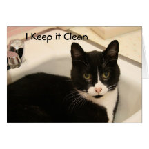 Greeting Card: Clean Geppetto Cat