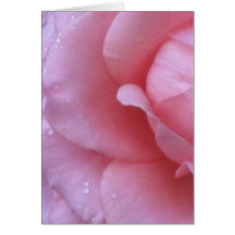 Greeting Card Elegant Rose