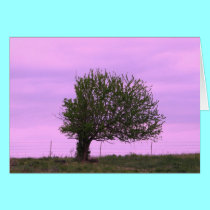 Greeting Card: Elk County countryside cards