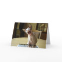 Greeting card for lovers