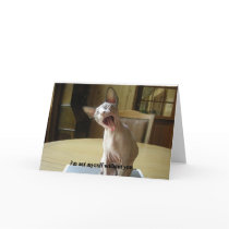 Greeting card for lovers
