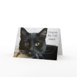Greeting Card: Gorgeous Cat