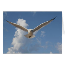 Greeting Card-Grace in Flight