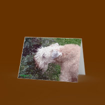 Greeting Card: "In the Garden"