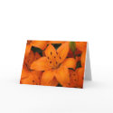 greeting card inside blank by kellyk330 greeting card inside blank