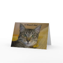 Greeting Card:  It Wasn't Me Cat